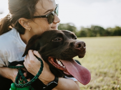 8 Benefits of Having a Pet: Why Owning a Pet is Good for You